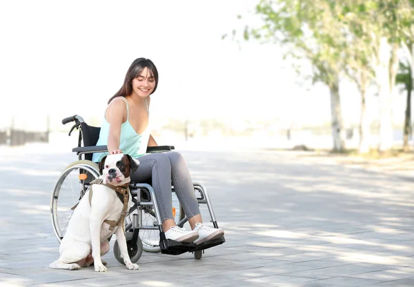 Молодая Женщина Инвалидном Кресле Служебная Собака Улице — стоковое фото