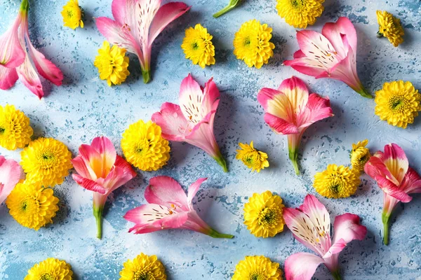 Beautiful Blooming Flowers Color Table — Stock Photo, Image