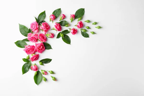 Composición Con Hermosas Flores Hojas Flor Sobre Fondo Blanco — Foto de Stock