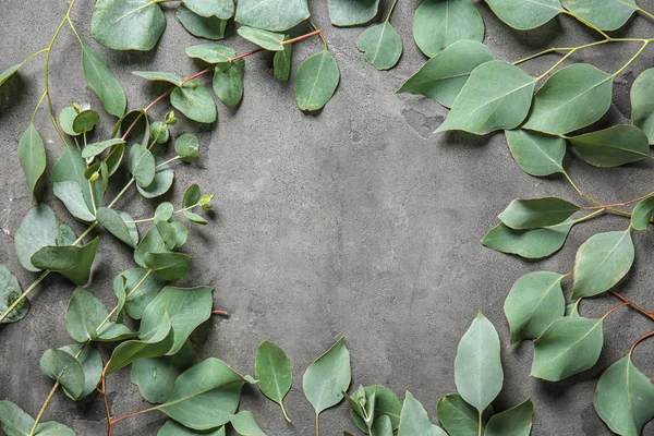 Frame Made Fresh Eucalyptus Leaves Grey Background — Stock Photo, Image