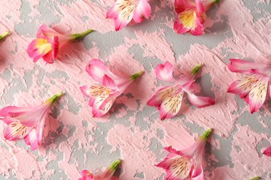 Renkli arkaplanda güzel çiçekler