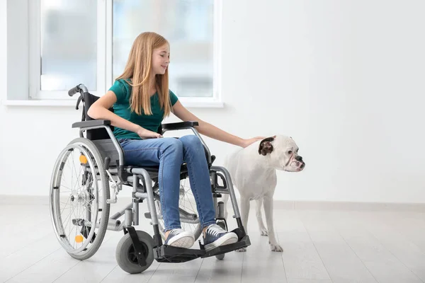 Teenage Girl Wheelchair Her Dog Home — Stock Photo, Image