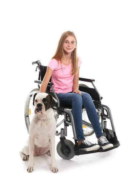 Έφηβη Κοπέλα Στο Αναπηρικό Καροτσάκι Και Σκύλο Λευκό Φόντο — Φωτογραφία Αρχείου