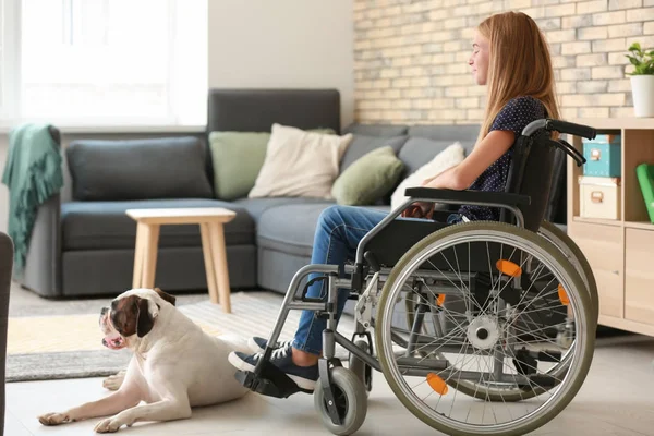 Ragazza Adolescente Sedia Rotelle Suo Cane Casa — Foto Stock