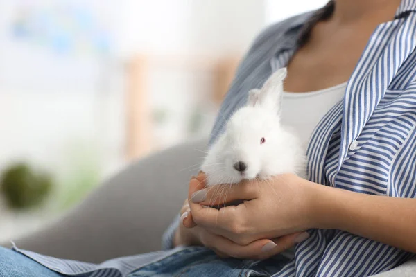 Schöne Junge Frau Mit Niedlichen Kaninchen Hause Nahaufnahme — Stockfoto
