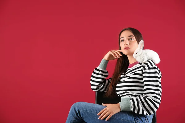 Hermosa Mujer Joven Con Lindo Conejito Sentado Silla Contra Fondo —  Fotos de Stock