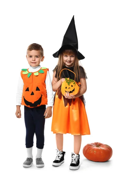 Cute Little Children Dressed Witch Jack Lantern Halloween White Background — Stock Photo, Image