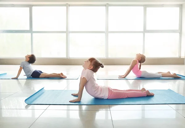 Bambini Piccoli Che Praticano Yoga Chiuso — Foto Stock