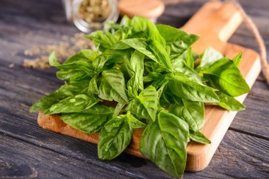 Ahşap tahta üzerinde yeşil taze fesleğen