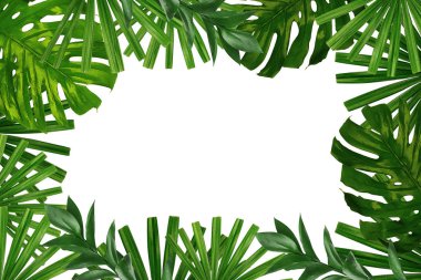 Beyaz zemin üzerine yeşil tropikal yapılan çerçeve bırakır