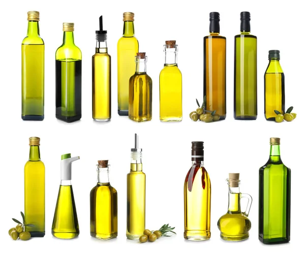 Different Bottles Olive Oil White Background — Stock Photo, Image
