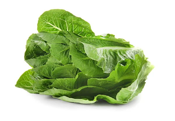 Fresh Ripe Cabbage White Background — Stock Photo, Image