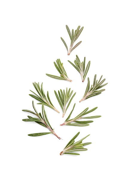 Flat Lay Composition Fresh Green Rosemary White Background — Stock Photo, Image