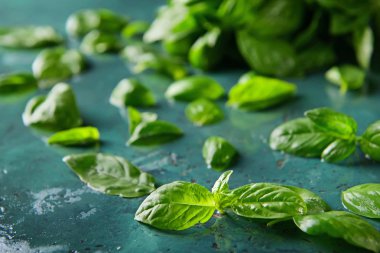Renk tablosu üzerinde yeşil taze fesleğen