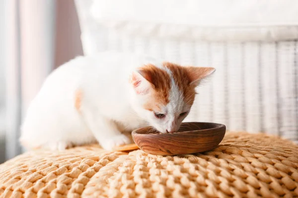 Cute Little Kitten Eating Home — Stock Photo, Image