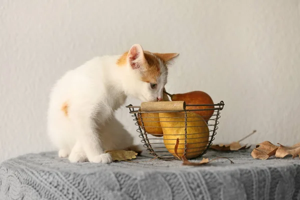 Cute Little Kitten Basket Pears Table — Stock Photo, Image