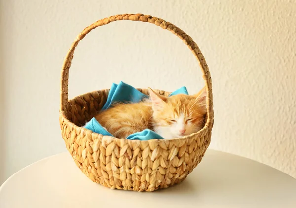 Cute Little Kitten Sleeping Wicker Basket Light Background — Stock Photo, Image