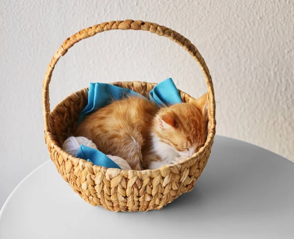 Cute Mały Kotek Spanie Wiklinowym Koszu Jasnym Tle — Zdjęcie stockowe