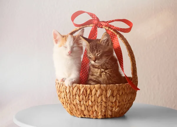 Cute Little Kittens Wicker Basket Ribbon Light Background — Stock Photo, Image