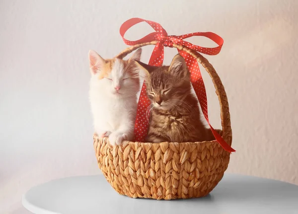 Lindos Gatitos Canasta Mimbre Con Cinta Sobre Fondo Claro — Foto de Stock