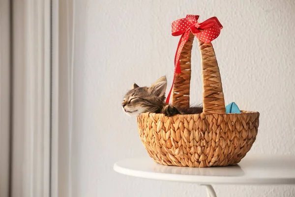 Cute Little Kitten Sleeping Wicker Basket Window — Stock Photo, Image