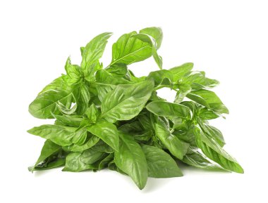 Beyaz arkaplanda taze yeşil fesleğen