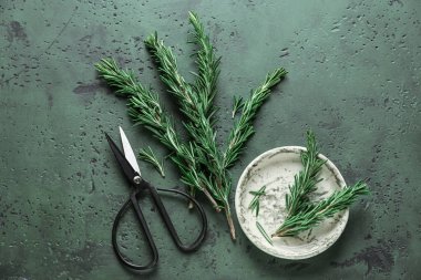 Taze biberiye ve renk tablosu için makaslar