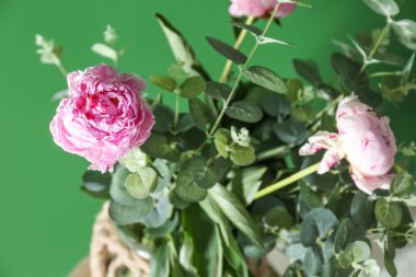 Güzel pembe şakayık çiçekleri renk arka plan üzerinde