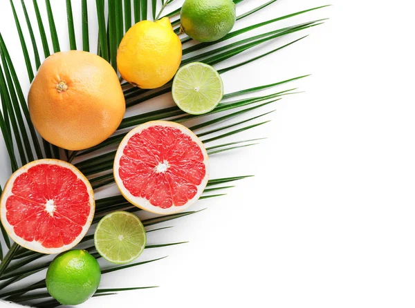 Summer Composition Tropical Fruits White Background — Stock Photo, Image