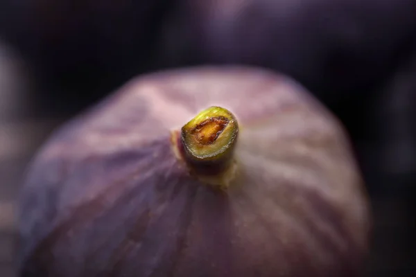 Fresh Ripe Fig Closeup — Stock Photo, Image