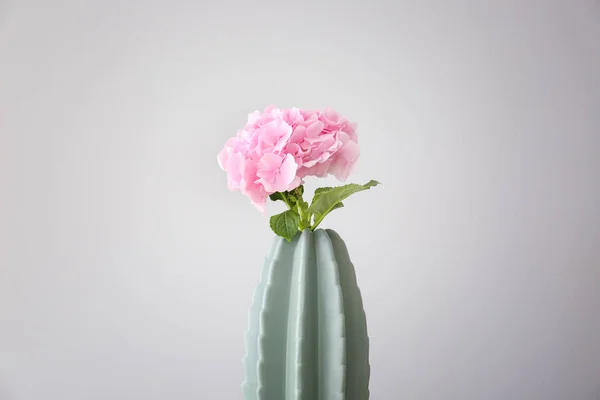 Vase Beautiful Pink Flowers Light Background — Stock Photo, Image