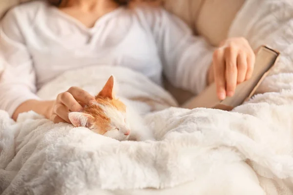 Woman Cute Little Kitten Home Closeup — Stock Photo, Image