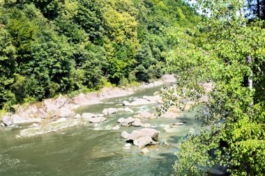 Güzel manzara nehir orman kayalarda ile