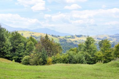 Dağlarda yeşil orman ile güzel manzara