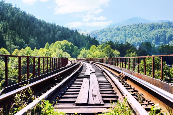 Railway Mountain Forest — Stock Photo, Image
