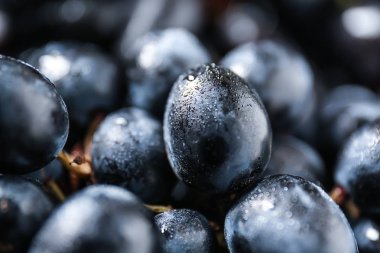 Olgun tatlı üzüm, portre