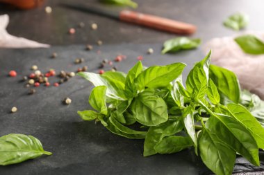 Kayrak plaka, closeup üzerinde yeşil taze fesleğen