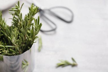 Işık tablosu üzerinde taze biberiye ile metal Kupası