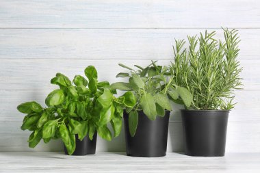 Beyaz ahşap zemin üzerinde taze aromatik otlar ile tencere