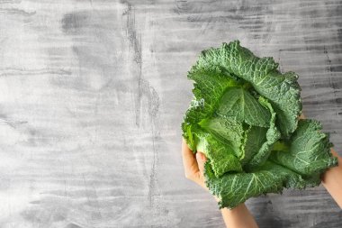 Taze savoy lahana gri arka plan üzerinde tutan kadın