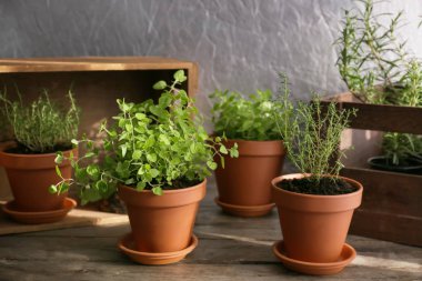 Ahşap masa üzerinde taze aromatik otlar ile tencere