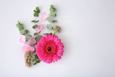 Güzel çiçekler ve beyaz arka plan dallarda kompozisyonu