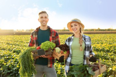 Çiftçiler alanında toplanan sebzeler ile