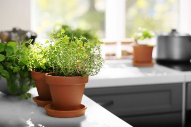 Tencere mutfak beyaz tablo taze aromatik otlar ile