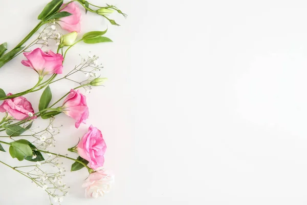 Hermosas Flores Sobre Fondo Blanco — Foto de Stock