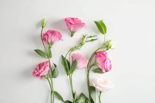 Beautiful Eustoma Flowers White Background — Stock Photo, Image