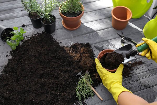 Woman filling pot with soil on wooden table