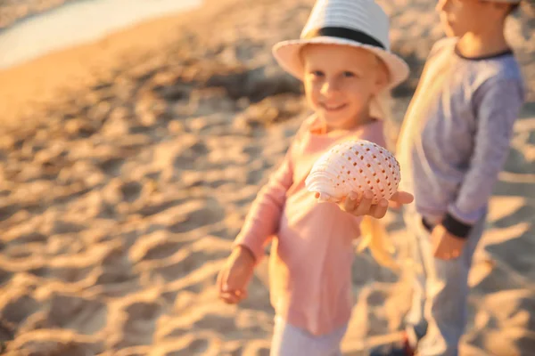 Carino Bambina Con Conchiglia Sulla Spiaggia — Foto Stock