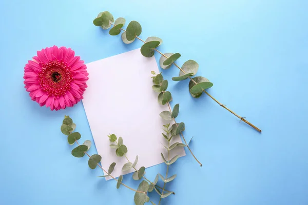 Güzel Çiçek Dalları Renk Arka Plan Üzerinde Boş Kartı — Stok fotoğraf