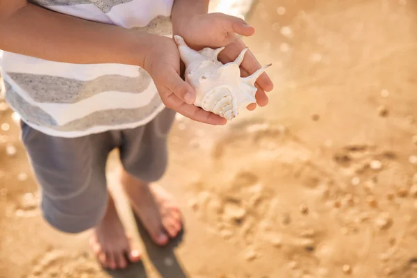 Cute Little Boy Sea Shell Beach Closeup — Stock Photo, Image